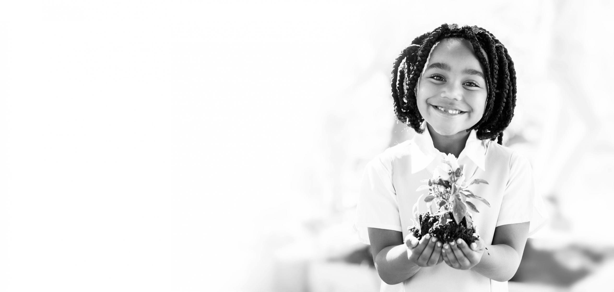 montessori winelands